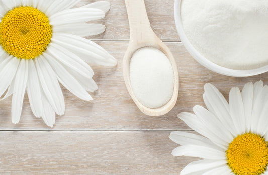 保養椎間盤 水份及膠原蛋白不可少
